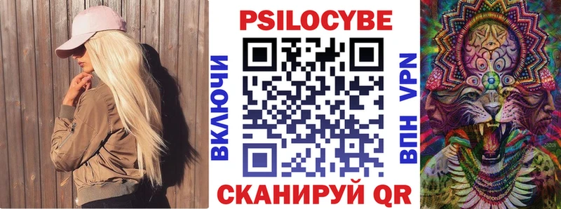 Купить  Короча  Псилоцибиновые грибы GOLDEN TEACHER 